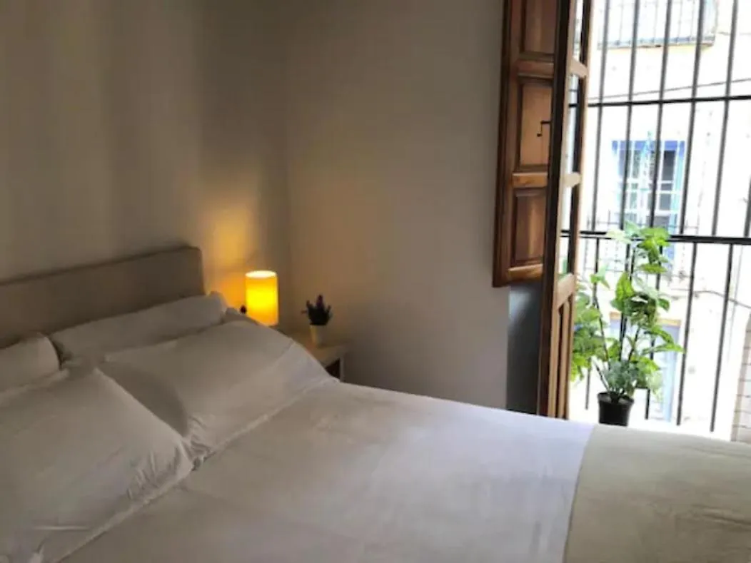 Apartamento Completo Reformado En Arco De Elvira - Centro Granada 0*,