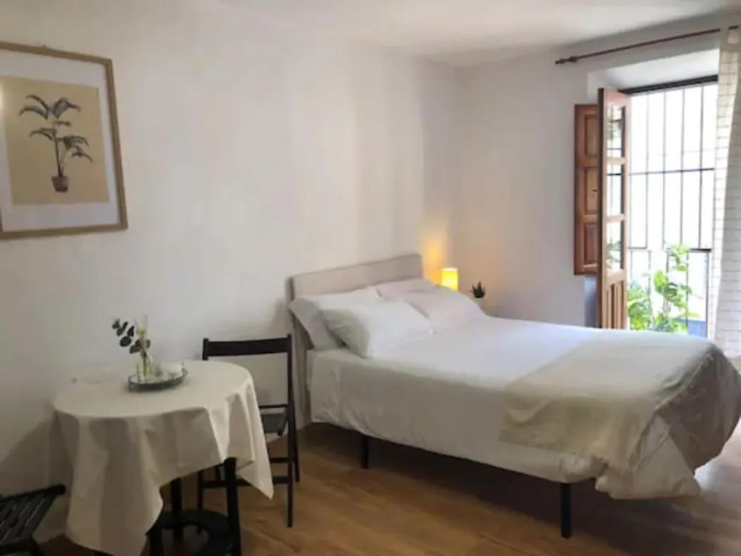 Apartamento Completo Reformado En Arco De Elvira - Centro Granada